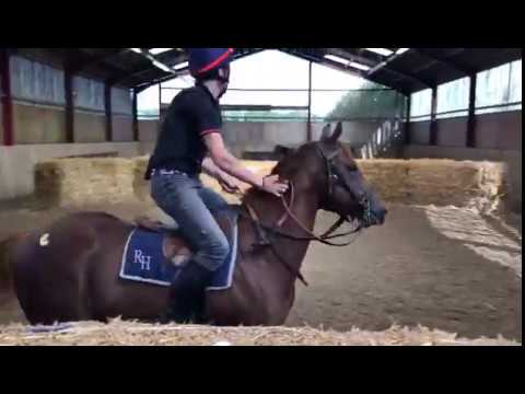 Bungle Inthejungle x Fanditha Ridden