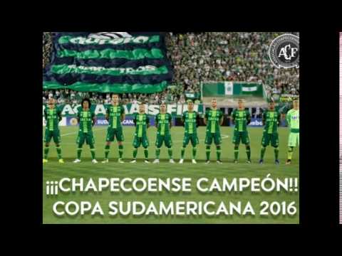 Conmebol declara Chapecoense campeã da Copa Sul-Americana de 2016