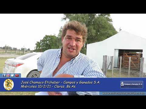 10-02-21 - José Chamaco Etcheber - Campos y Ganados S.A. - Claraz, Bs.As.
