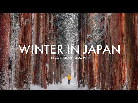 Winter in Japan: Snow Monsters at Zao Onsen, Ginzan Onsen, Togakushi Shrine &amp; Snow Monkeys in Nagano
