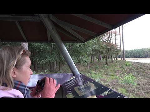 Het Hilversums wasmeer