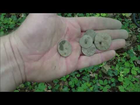 Metalldetektor EuroTek PRO (LTE)