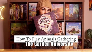The Board Game Garden - Animals Gathering video thumbnail