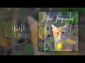 Jackson Browne I'm The Cat 432hz