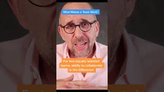 What makes a Team Work?