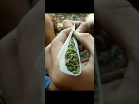 Rutinario - Zadow X Rama Ks