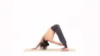 MONTE MERU CON ROTAZIONE – MERU ASANA