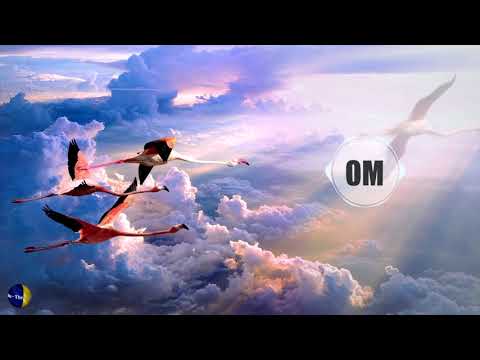 Phil Rey Gibbons feat Felicia Farerre - HEAVENLY 🦩