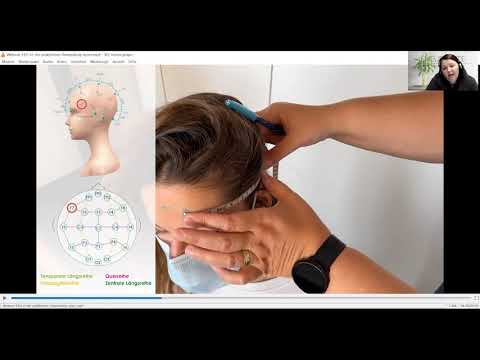 Neurolite Academy Webinar | EEG in practical application