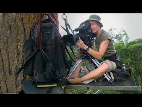 Thumbnail of the video: Starting the Search | Expedition Borneo | BBC Earth