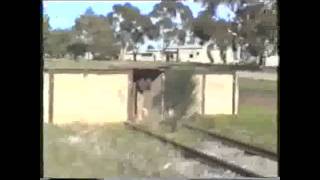 preview picture of video 'Eyre Peninsula Railways_Cummins, Yeelanna & Kapinnie'