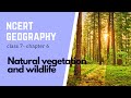 Chapter 6 Natural Vegetation Wildlife Class 7 NCERT Geography Types Of Forest