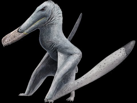 TRILOGY OF LIFE - Walking with Dinosaurs - "Antarctic pterosaurs"