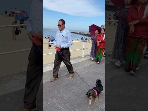 Ghum gham mama maiju sanga southwest Beautiful beach 🏖️ uk 🇬🇧#shortvideo