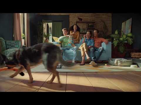 "Punkt Widzenia" - 03.05.2021