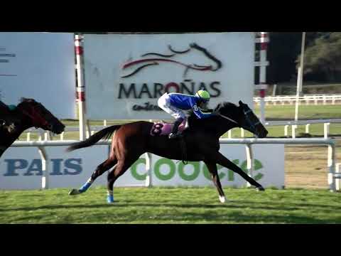 220618 c08 POSSESIVO