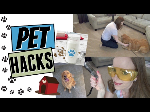 PET HACKS! | HOW TO KEEP YOUR HOUSE CLEAN WITH PETS! | ARE YOU NOSE BLIND?!? Video