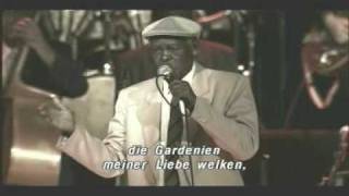 dos gardenias y el carretero -buena vista social club