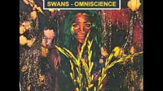 Swans  - Amnesia (live)