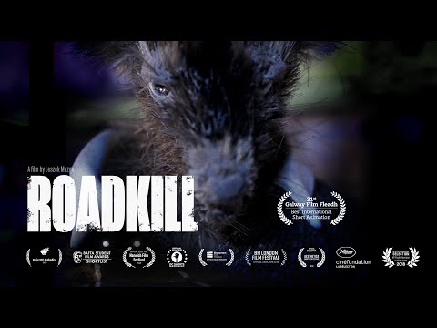 Roadkill
