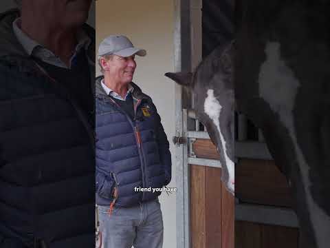 Carl Hester Shares His Top Tips for Buying the Right Horse