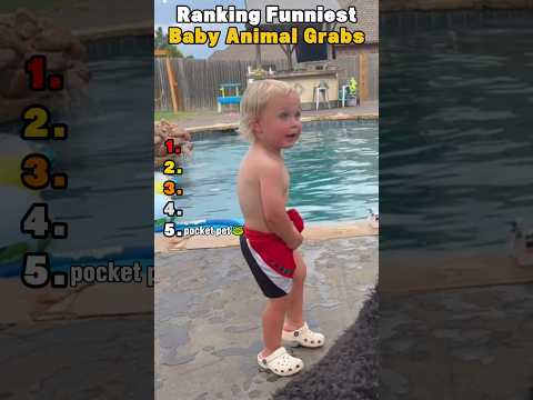 Ranking Funniest Baby Animal Catches
