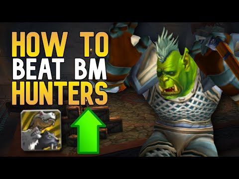 Use this trick to beat Beast Mastery Hunters in WoW Arena