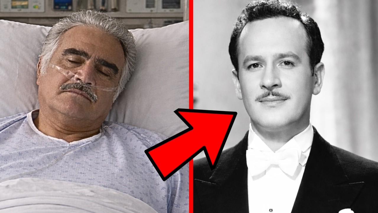 YouTube Thumbnail Downloader FULL HQ IMAGE