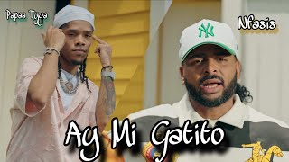 Video Ay Mi Gatito de Papaa Tyga , N-Fasis