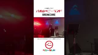 【この曲知ってる?】八木山ベニーランド BREAKCORE