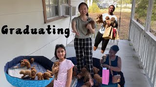 Puppy graduation ,what are we busy with lately?｜ 十几只小狗都怎么样了？为何停更半个月？
