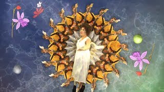 Weaves - #53 video