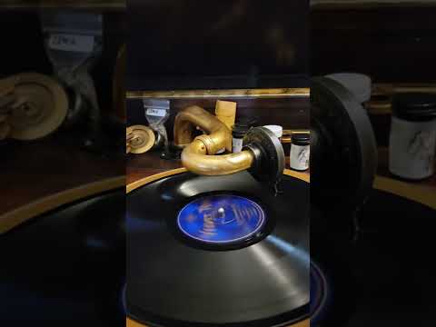 Stay Out of the South! - (Arthur Fields) University Six (California Ramblers) Velvet Tone #1617 1928