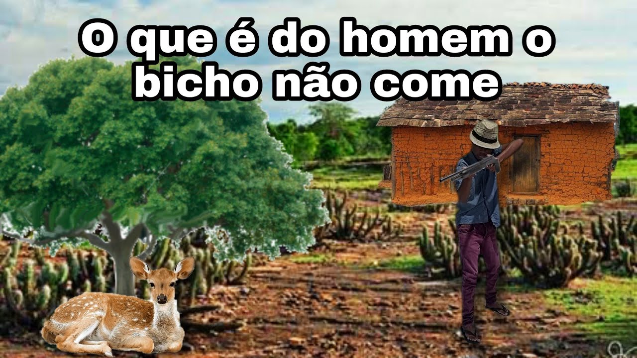 Véi Dico conta da fabulosa caçada ao veado que dormia próximo a casa do compadre João #caçadadeveado