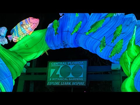 Asian Lantern Festival at The Central Florida Zoo Is A MUST SEE! 🤩✨