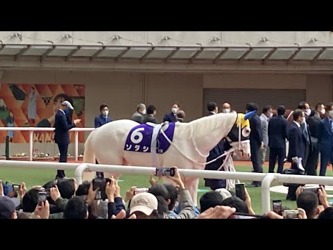 阪神競馬　パドック 全馬（第39回マイルチャンピオンシップ）2022.11.20