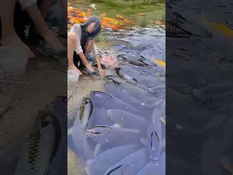 Sneyha, Arbin & Javan Fun Playing With Real Fish in Inflatable River - Cute Sneyha's Show