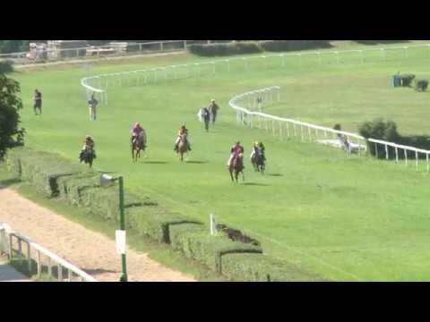 29. 7. - Dostihy poníků