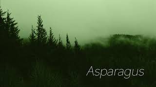 Asparagus by Eterza