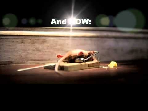 Recent developement in LC Karlsruhe