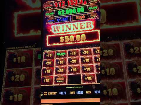 My last spin hit the major jacpot buffalo slots machine