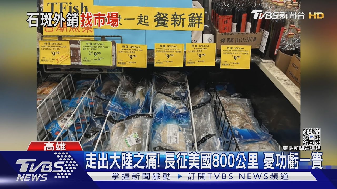 陸封殺石斑魚另尋美國出路 又遇關稅夾擊
