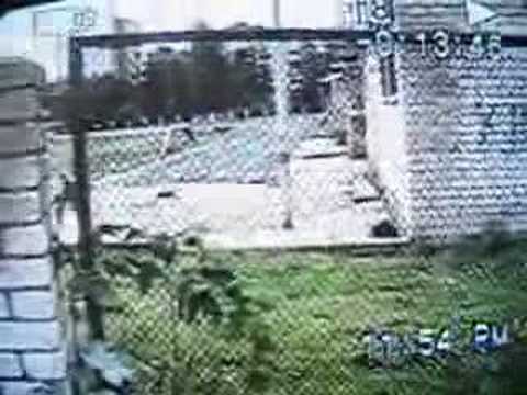 Dvinsk Clan - First Video