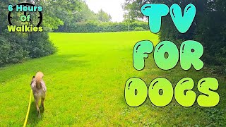 DOG TV for Dogs to Watch: Deeply Relaxing Video for Stress & Anxiety Relief for Dogs - Music & Birds