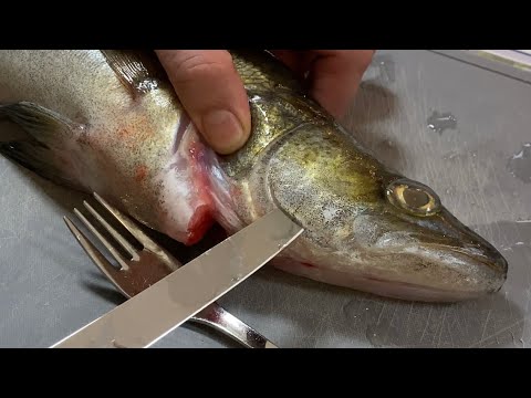 Kuhan perkaus ja fileointi ruodottomaksi ja poskilihojen irroitus - Kalan käsittely