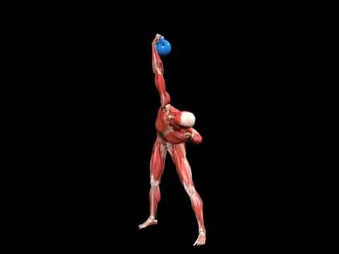 Advanced Kettlebell windmill