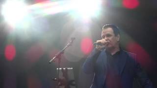 Cinerama - Your charms - Live @ Primavera Festival, Barcelona - 05/2015