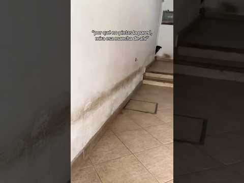 Solo unos pocos lo entenderán #perros #miradacanina #pets