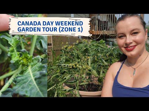 June Garden Tour | Zone 1A Northern Saskatchewan Garden Update