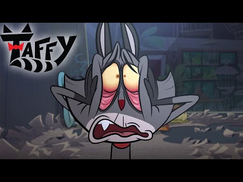 Taffy’s Great Escape from the Pet Shop 🏪🦝💨 | Taffy